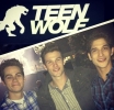 Teen Wolf Priode 4 